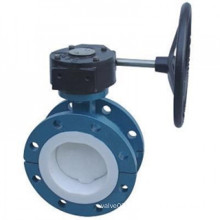 Double Flange Teflon Full Lined Butterfly Valves with Gear Box